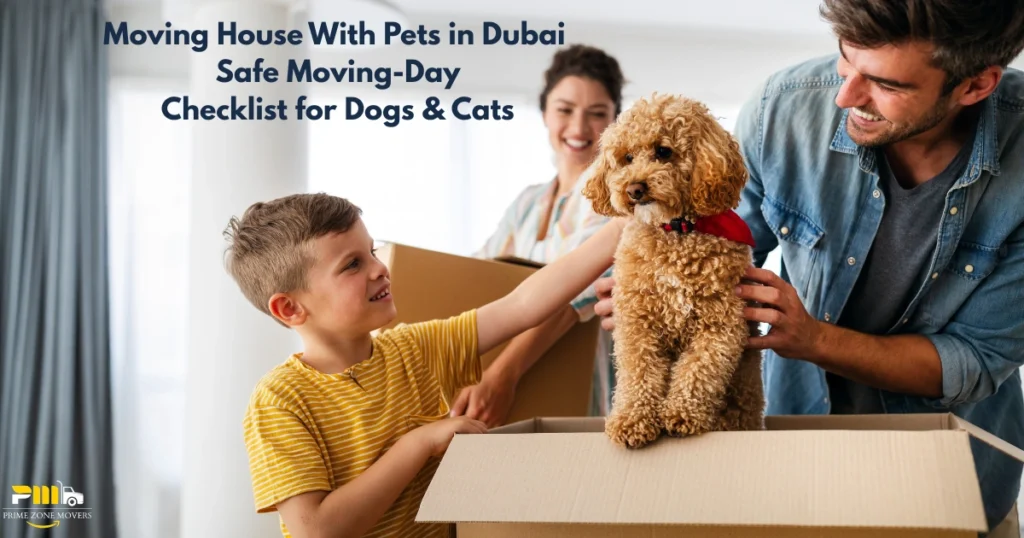 Moving House With Pets in Dubai